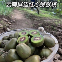 Screen edge red hearts yellow meats kiwi fruit 5 catties of fresh chic exotic pregnant women fruit when season fruit whole boxes 10 catties 1