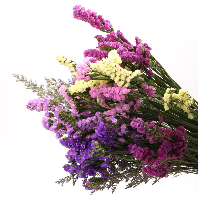 云南基地直发勿忘我风干花束混搭