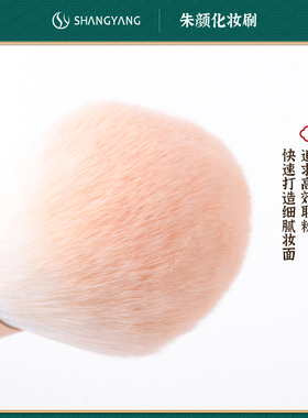 学生遮瑕腮红化妆刷套装