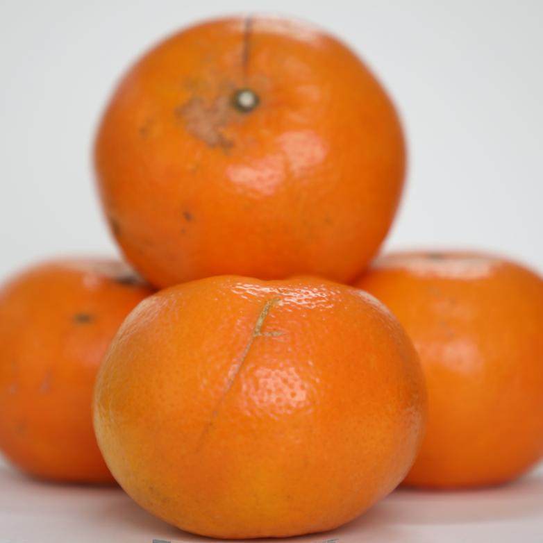 广西正宗武鸣沃柑花斑果5斤贵妃柑新鲜橘子水果应季水果薄皮,淘宝优惠券,粉丝福利购,淘宝优惠卷