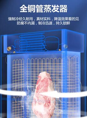 海尔风冷无霜厨房商用全铜冰柜