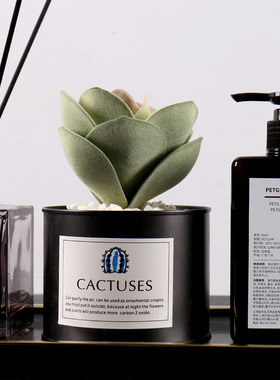 浴室柜洗手台香薰意式风软装托盘