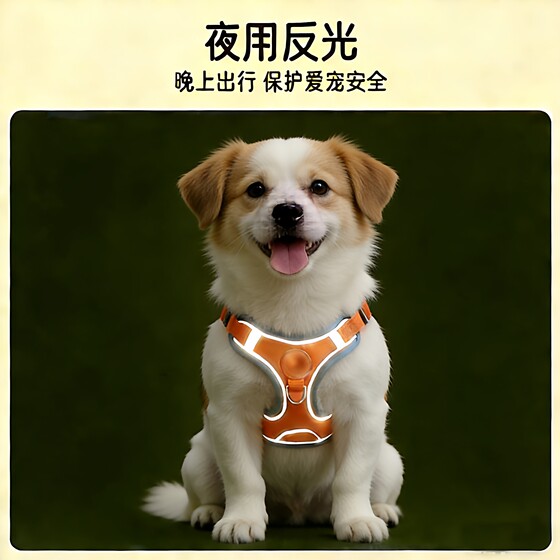 Vest style dog leash