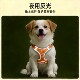 Vest style dog leash