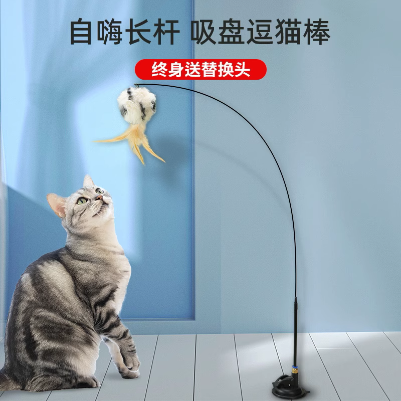 猫玩具自嗨解闷神器猫咪懒人自动逗猫棒羽毛吸盘带铃铛耐咬幼猫 - 图2