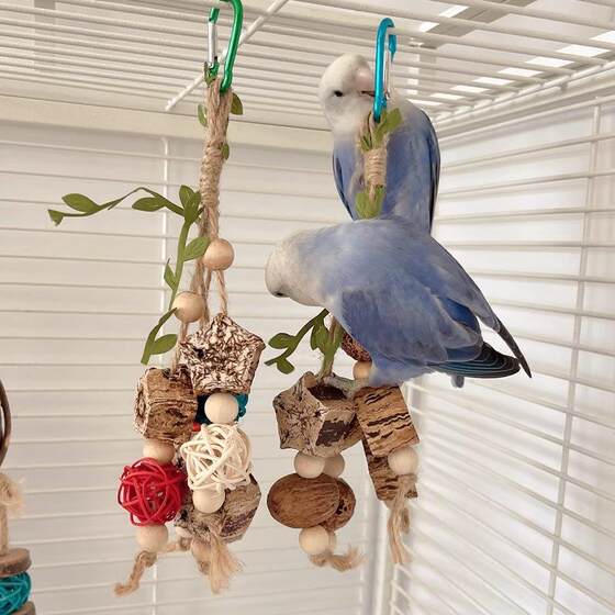 Sepak takraw nuts chewing skewers peony tiger skin Pacific black phoenix small and medium-sized parrots playing bird supplies 96503