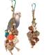 Sepak takraw nuts chewing skewers peony tiger skin Pacific black phoenix small and medium-sized parrots playing bird supplies 96503