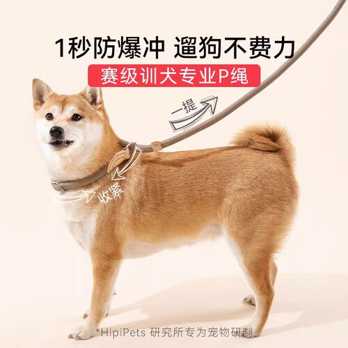 狗狗绳子防爆冲P链遛狗牵引绳防挣脱狗链子中大型犬防爆冲拴狗绳 - 图1