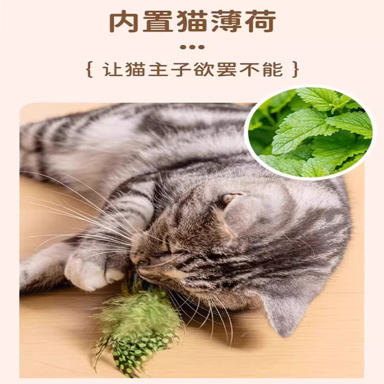 Cat toy simulated bird sounds to relieve boredom