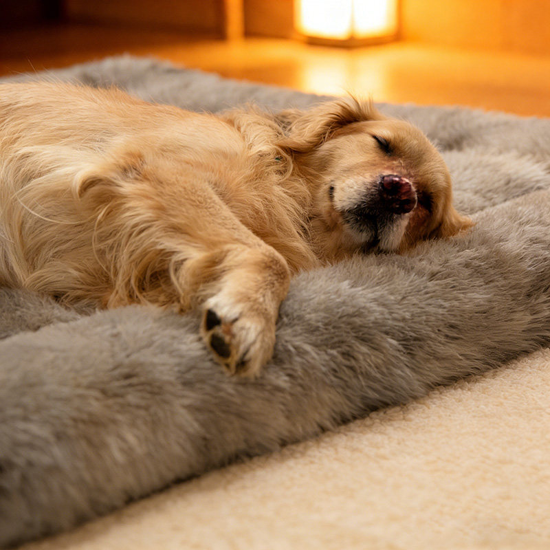 狗狗垫子冬季狗窝猫垫四季宠物垫猫咪用猫窝垫冬天保暖狗睡垫猫床,淘宝优惠券,粉丝福利购,淘宝优惠卷