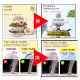 Water-soluble cat litter can flush the toilet 10 kg deodorizing clumping bentonite low dust cat litter 20 catties cat