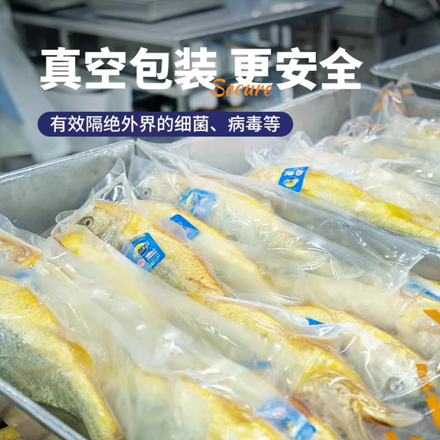 三都港速冻黄花鱼海鲜冷冻生鲜海鱼黄鱼宁德大黄鱼水产鲜冻,淘宝优惠券,粉丝福利购,淘宝优惠卷