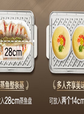 多功能双层不锈钢电蒸锅