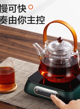 SUPOR/苏泊尔 C10-CS10陶炉迷你煮茶器黑茶泡茶功夫茶养生炉CS12
