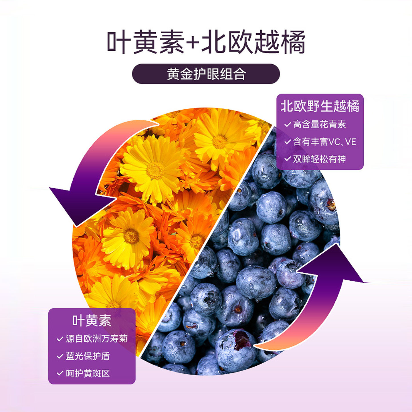 NewNordic北欧越橘蓝莓叶黄素专用护眼片花青素60片视力成人儿童