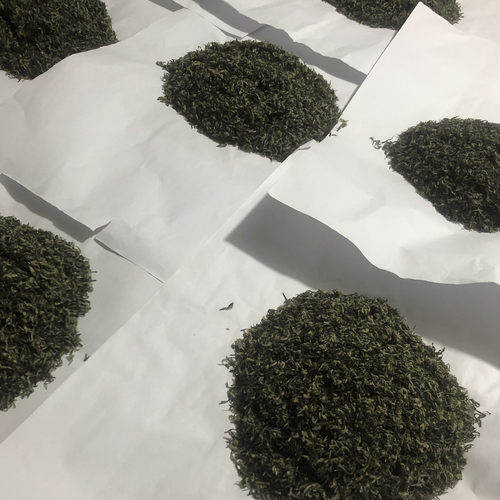 苏州东山碧螺春绿茶叶明前芽尖特级牙尖一芽一叶炒青茶农自产自销-图3