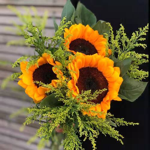 黄莺花向日葵太阳花直发特价斗南新鲜水培鲜花客厅家用混搭花束礼 - 图2