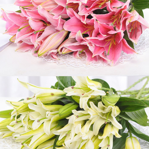 云南香水百合水养鲜花花束直云南昆明基地速递同城客厅摆件礼物 - 图0