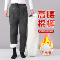 Autumn Winter Cotton Pants Male dad Northeast wearing high waist lamb suede beating bottom suede pants old man windproof and warm and velvety thickened