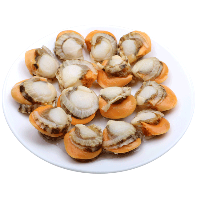 Fresh extra large scallops with yellow meat wholesale SF Express