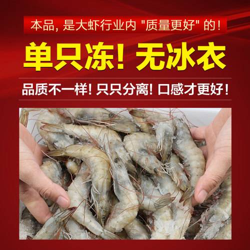 大虾鲜活特大号基围虾青岛海鲜生鲜冻虾白虾水产王牌速冻冷冻新鲜 - 图2