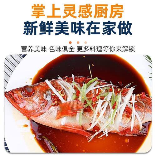 红石斑鱼鲜活冷冻超大红鱼龙胆富贵鱼深海鲈鱼多宝鱼新鲜海鲜水产 - 图3