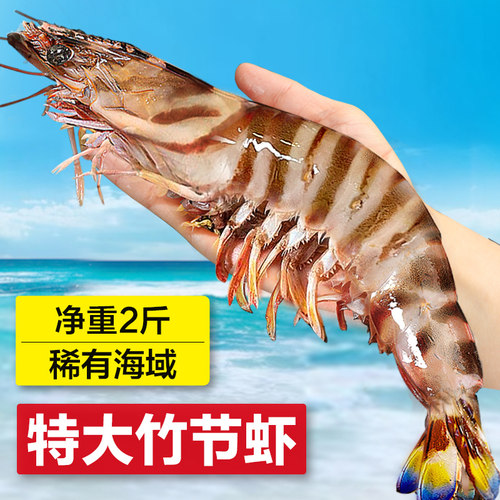 竹节虾海鲜九节虾斑节虾黑虎虾基围虾特大超大虾鲜活速冻水产海虾 - 图0