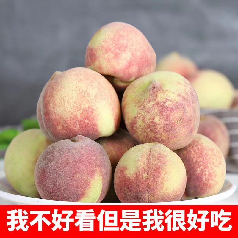 云南冬桃正宗新鲜水果桃子大脆桃当季整箱鲜果小桃子脆甜现摘大理,淘宝优惠券,粉丝福利购,淘宝优惠卷