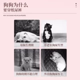 Менструальные штаны для собак, подгузники для собак, подгузники, штаны-подтяжки для домашних животных, специальные гигиенические салфетки для щенков, для собак мужского пола