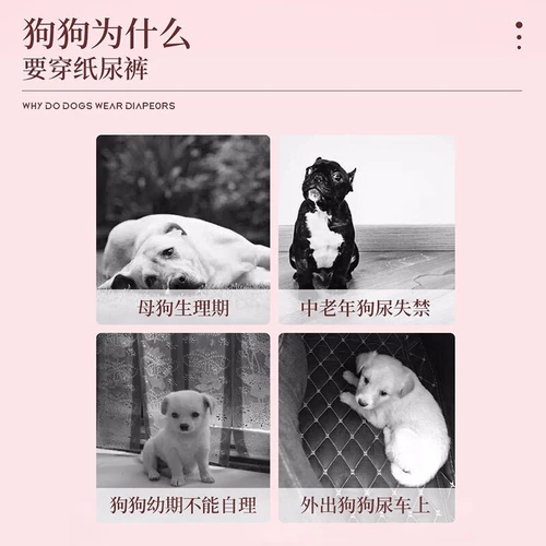 Менструальные штаны для собак, подгузники для собак, подгузники, штаны-подтяжки для домашних животных, специальные гигиенические салфетки для щенков, для собак мужского пола