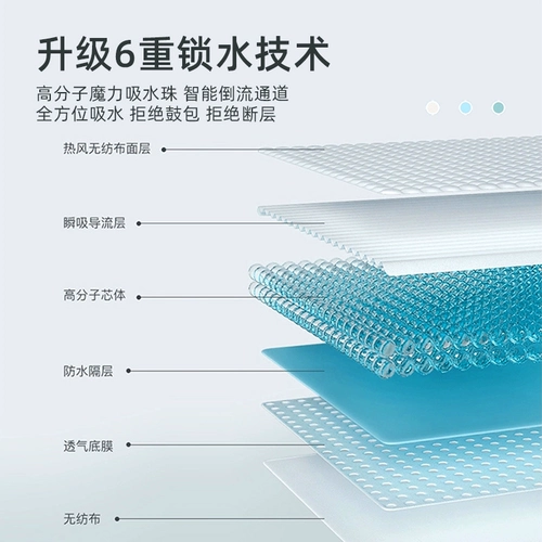 Моча мочи мальчика не мочится плюшевыми подгузниками, женские собаки Специальные физиологические штаны обесцвечены медведями