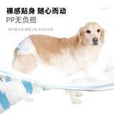 Ультра -тонкие мальчики, используемые для больших собак специальных подгузников, домашних собак, щенков без влажной подушки физиологические штаны, пожилые люди