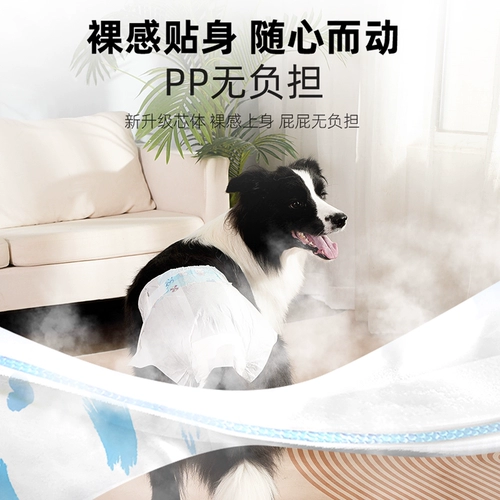 Пешеходная собака собака физиологические штаны