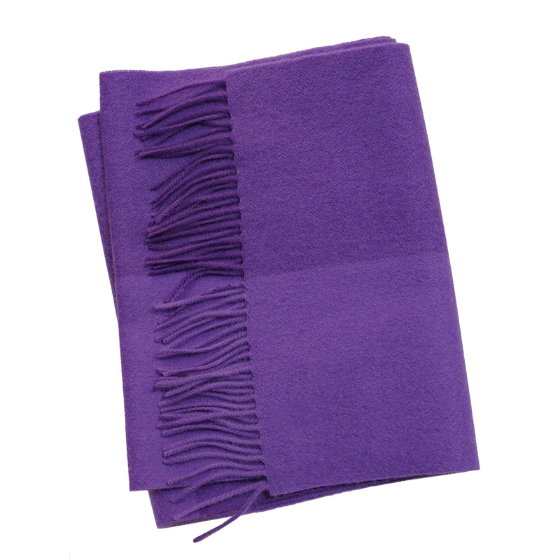 APCSHOP绒尖时尚选 秋冬简约保暖雾紫拼色女士流苏纯山羊绒围巾 - 图3