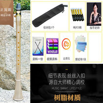 Single-spring tube instrument Easy Sax wind resin Professional level Chulassa Black Tube beginner descending E cut to B tone