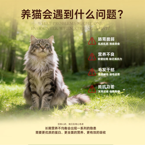 宽福猫粮成猫专用全价营养鲜肉猫咪幼猫圆脸2kg美短20英短幅10斤 - 图0