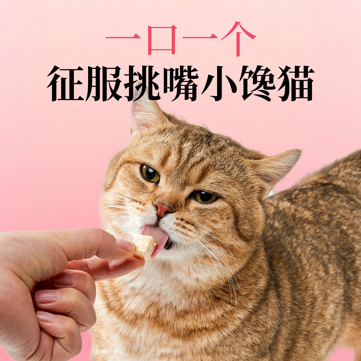 宽福冻干猫零食猫咪冻干鸡肉粒鸡胸肉营养洁齿宠物成幼猫零食桶,淘宝优惠券,粉丝福利购,淘宝优惠卷