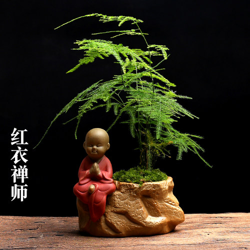 文竹创意植物花盆陶瓷小和尚小佛禅意小花盆绿植盆栽高档植物含盆 - 图0