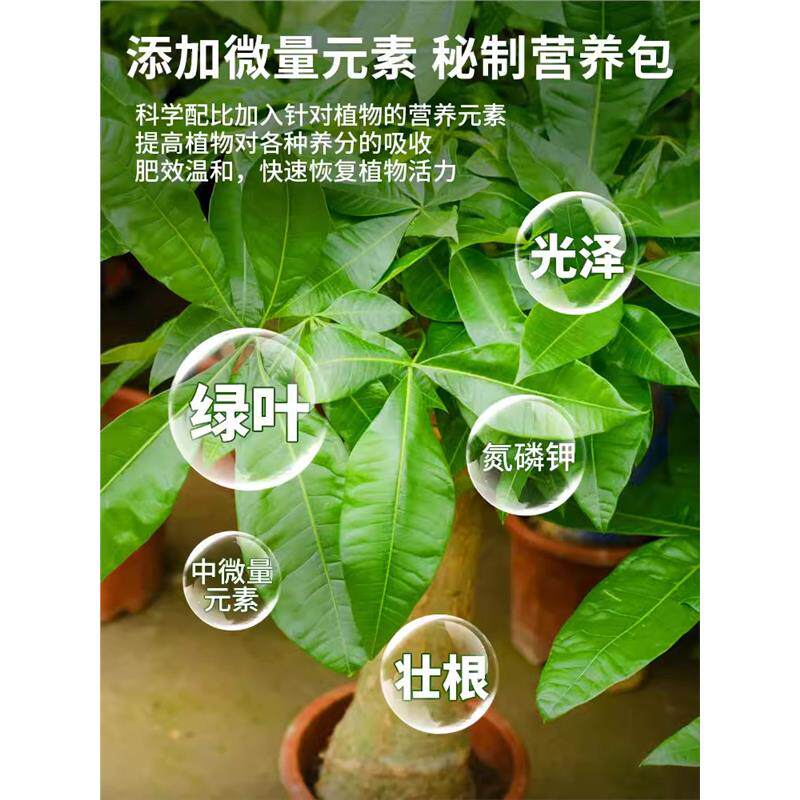 发财树营养液肥料专用肥专治烂根掉叶黄叶室内盆栽绿植物花肥通用