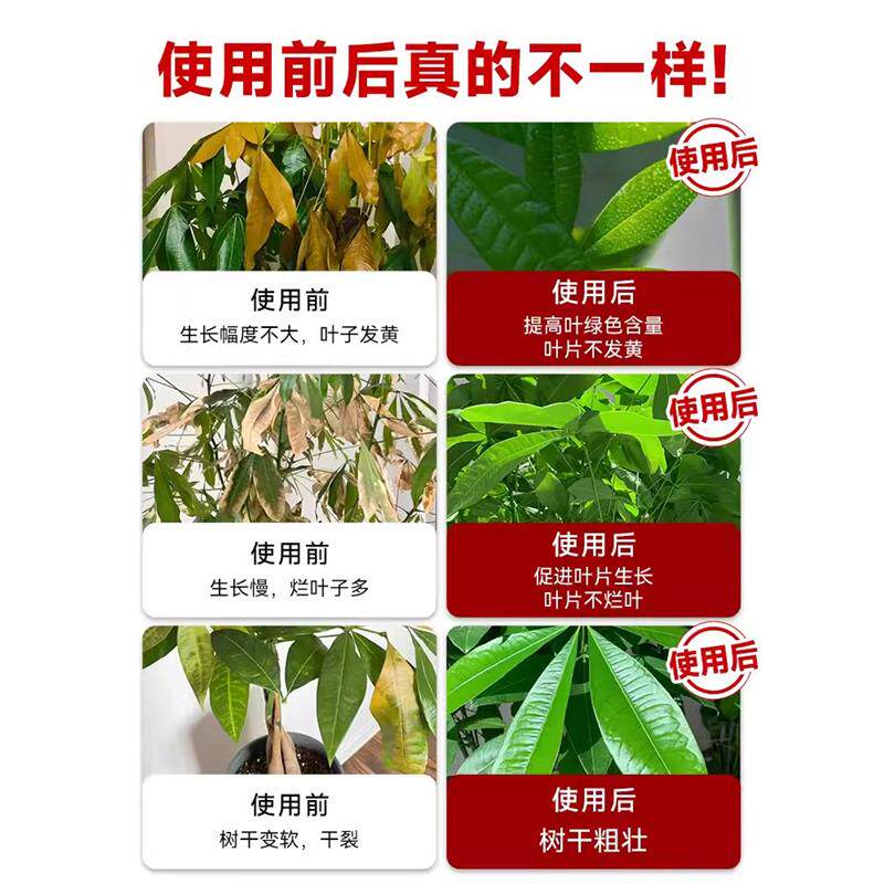 发财树营养液肥料专用肥专治烂根掉叶黄叶室内盆栽绿植物花肥通用