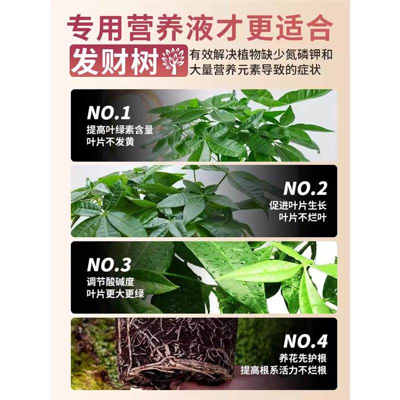 发财树营养液肥料专用肥专治烂根掉叶黄叶室内盆栽绿植物花肥通用