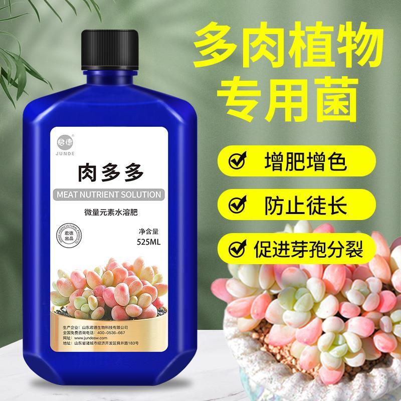 多肉营养液专用型增肥增色爆芽生根室内室外养花多肉肥料营养液-图3