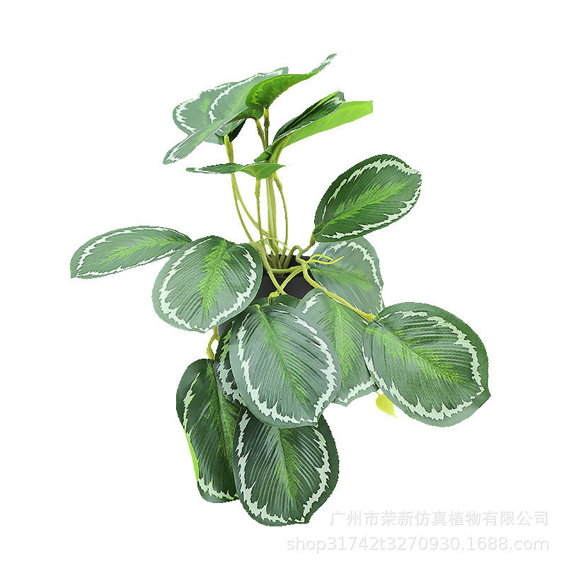 新款亚马逊绿植垂条盆栽组合 家居桌面摆件吊钟仿真植物绿植盆景,淘宝优惠券,粉丝福利购,淘宝优惠卷