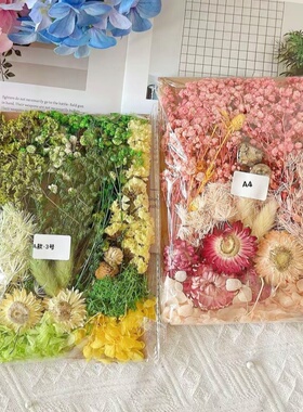 花艺材料包永生干花料A款画团扇贺卡手工干花小花束天然真花滴胶
