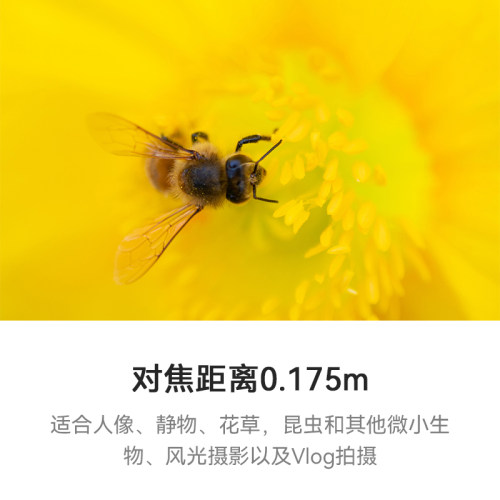七工匠60mmF2.8二代1倍超微距昆虫花卉适用索尼富士Z50佳能RF M43 - 图1