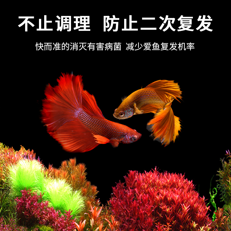 亚甲基蓝观赏鱼白点病锦鲤水霉病血鹦鹉专用鱼缸水族养护预防 - 图2