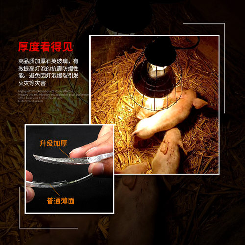 保温灯养殖取暖防爆节能猪用红外线畜牧小鸡仔猪加热烤灯保暖灯泡 - 图1