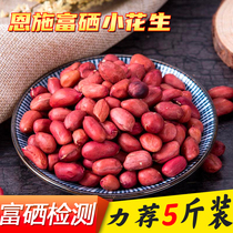 Rich Selenium Peanut 5 kg Ench ground production of red leather peanuts small peanut kernel Peanut Kernel Five Grains Rich Selenium Cereals