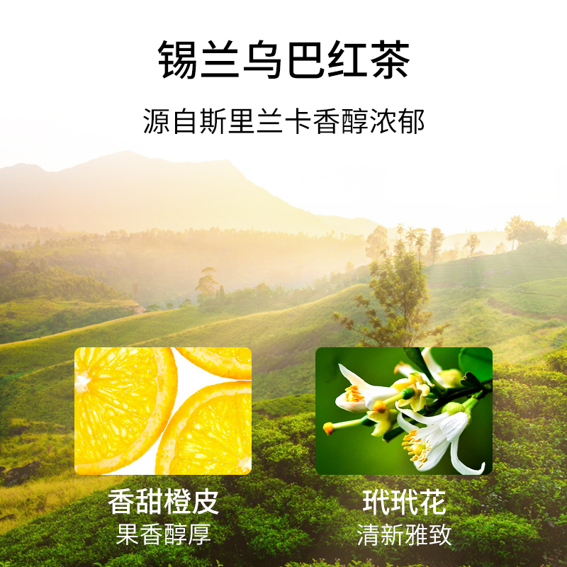 T9小传奇去咖啡因橙皮红茶热泡花草茶调味散茶罐装50g礼物 - 图0