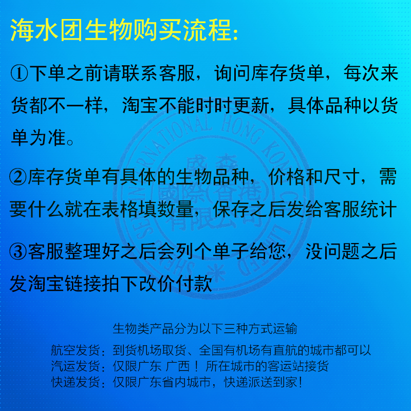 宝石花万花筒-海水观赏鱼-活体- -珊瑚水族-死亡包赔 - 图0